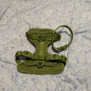 Wildone Harness and Collar
